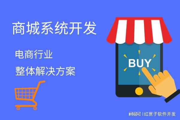 b2c电商平台开发